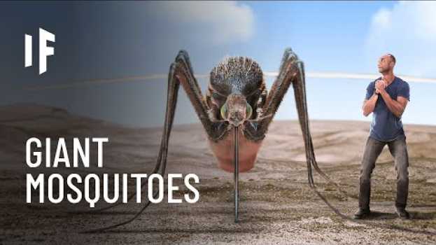 Video What If Mosquitoes Were the Size of Humans? en Español