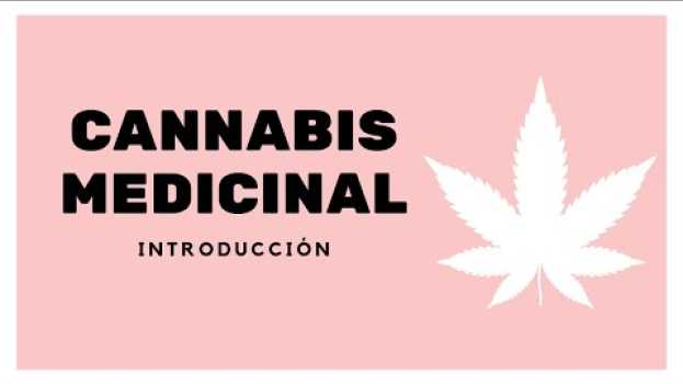 Video ¿Qué es el cannabis medicinal? su italiano