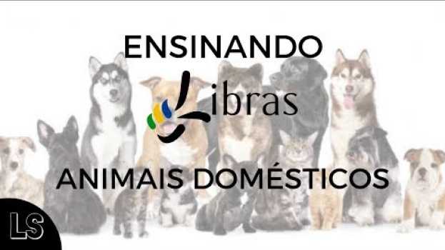 Video Animais domésticos em Libras en Español