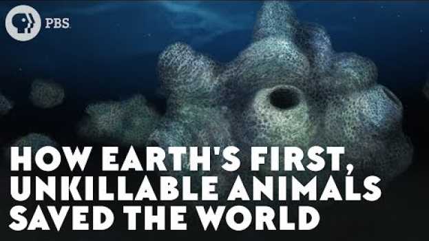 Video How Earth's First, Unkillable Animals Saved the World en français
