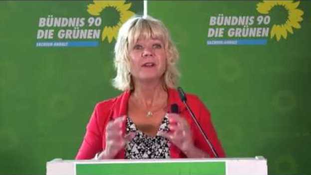 Video Conny Lüddemann auf dem 40. Landesparteitag en français
