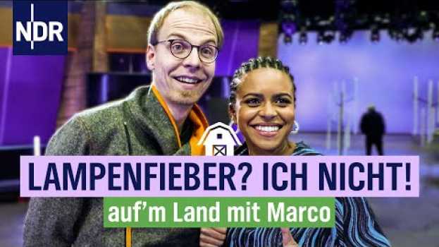 Video Marco Scheel zwischen Talkshow & Schafen | Folge  4 | NDR auf'm Land in English