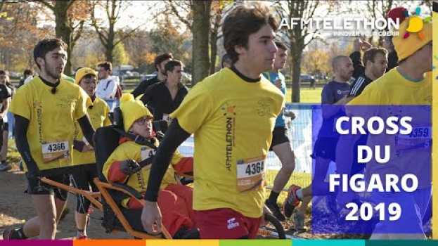 Video Cross du Figaro : ils ont couru contre la maladie ! | Téléthon 2019 en Español