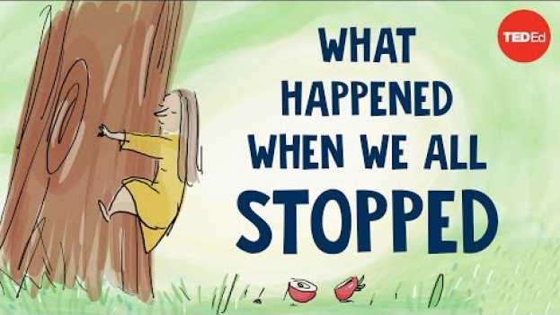 Video “What happened when we all stopped” narrated by Jane Goodall em Portuguese