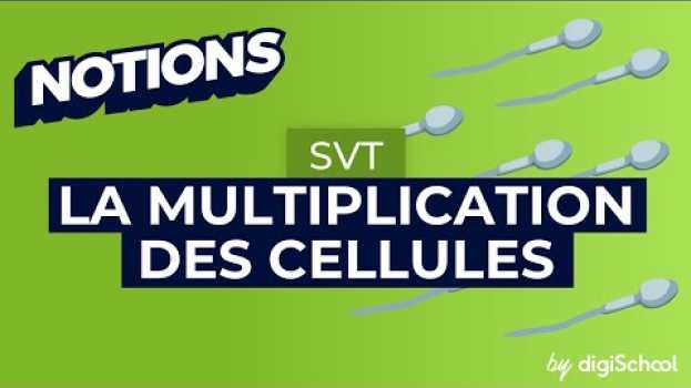 Video Qu'est-ce que la mitose (division cellulaire) ? SVT 3e em Portuguese