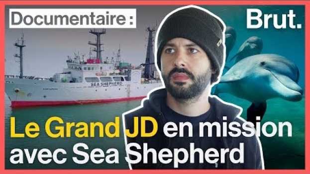 Video Le Grand JD en mission avec les activistes de  Sea Shepherd em Portuguese