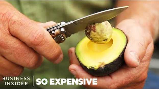 Видео Why Avocados Are So Expensive | So Expensive на русском