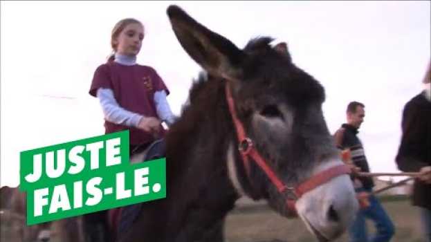 Video Pourquoi s'acheter un âne ? in English