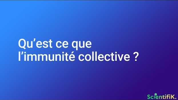 Video HORS SÉRIE - Qu'est-ce que l'immunité collective ? in English