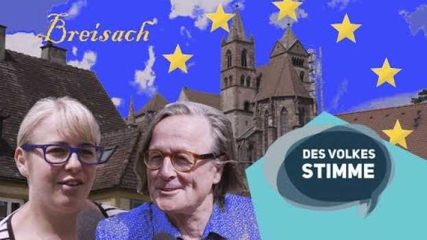 Video Des Volkes Stimme | Sternstunde – Die Breisacher Volksbefragung zu Europa en Español