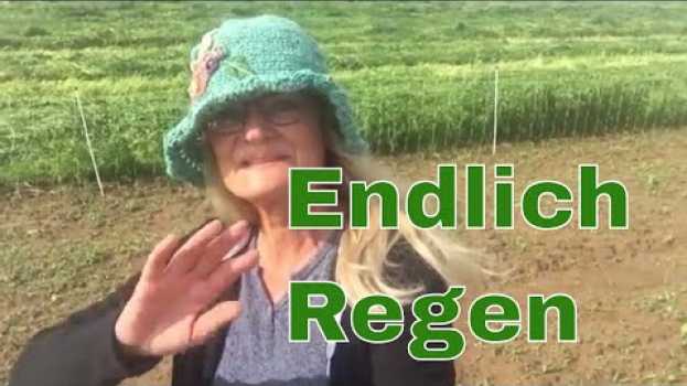 Video ★ Endlich Regen im Biogarten  ★ em Portuguese