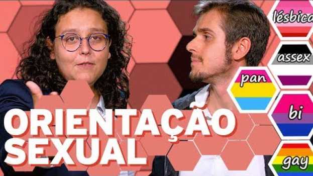 Video Orientação sexual - Guia Básico #3 - Canal das Bee en Español