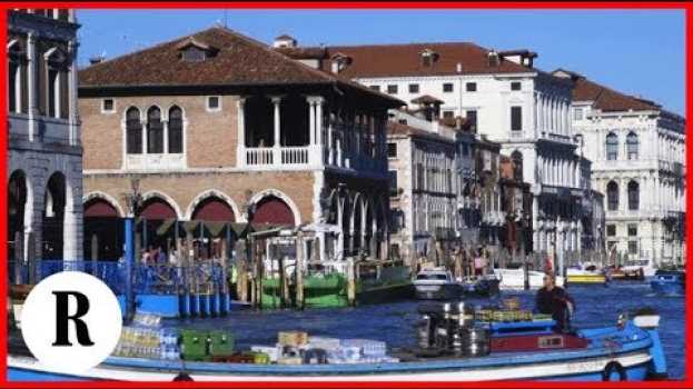 Video Venezia, un giorno con Andrea, pescivendolo di Rialto: "Così il nostro mercato muore" in English