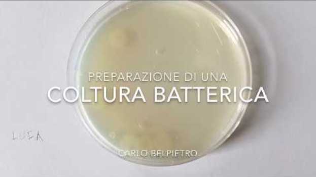 Video Preparazione di una Coltura Batterica su italiano