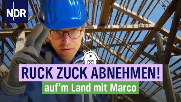 Video Großprojekt Dach - das Team von Marco Scheel arbeitet im Akkord | Folge 9 | NDR auf'm Land en français