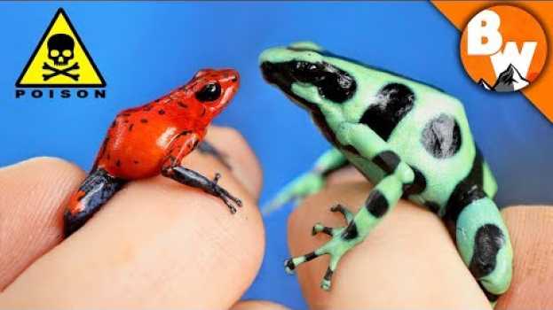 Видео Which Poison Frog Can Kill You? на русском