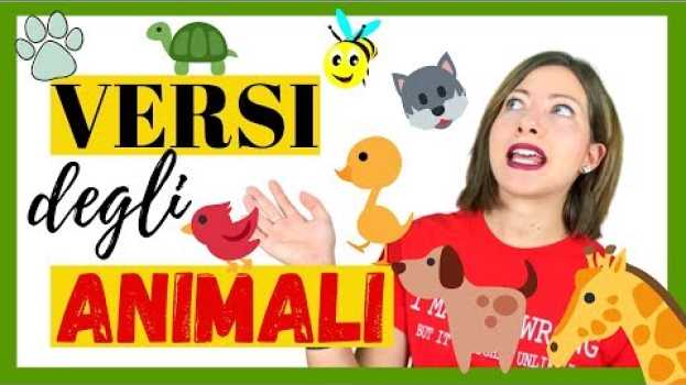 Video I Versi degli ANIMALI in Italiano! Che verso fa...? - Impara l'italiano DIVERTENDOTI! 🐶 🐱 🐘 em Portuguese