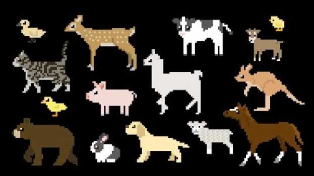 Video Baby Animals - Cute Puppy, Kitten, Piglet, Duckling & More - The Kids' Picture Show na Polish