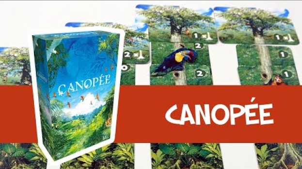 Video Canopée - Présentation du jeu su italiano