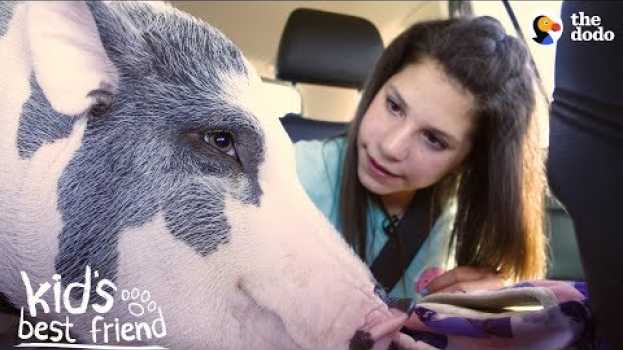 Video Girl's BFFs Are Two Pigs — Who Act Just Like Dogs | The Dodo Kid's Best Friend in English