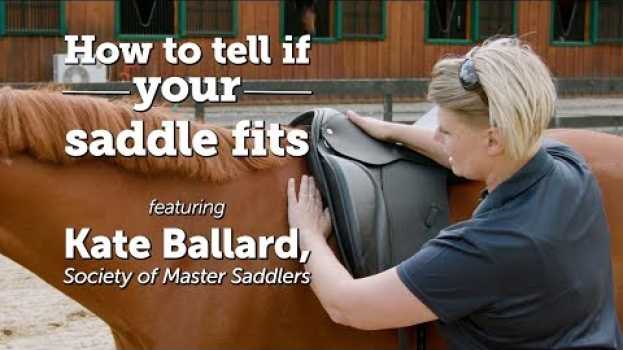 Video How to tell if your saddle fits | Kate Ballard, Society of Master Saddlers su italiano