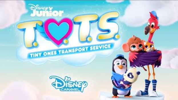 Video Bringing This Baby Home | Music Video | T.O.T.S. | Disney Junior em Portuguese