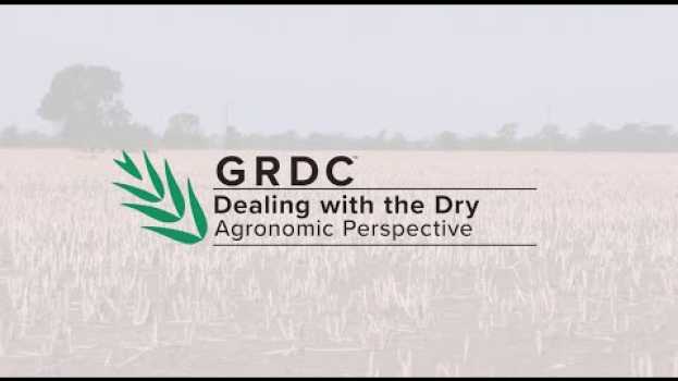 Video Dealing with the Dry | Agricultural Consultant Greg Rummery en Español
