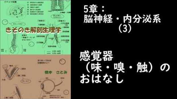 Video  in English