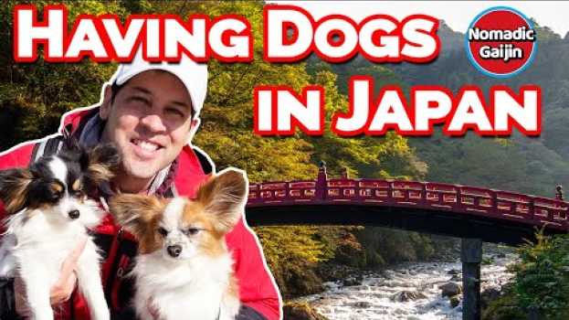 Video What's it like having dogs in Japan? em Portuguese