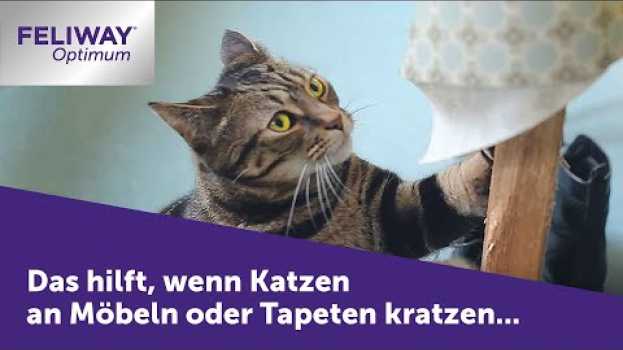 Видео Katze kratzt an Möbeln ► FELIWAY Optimum hilft, wenn die Katze an deinen Möbeln kratzt! на русском