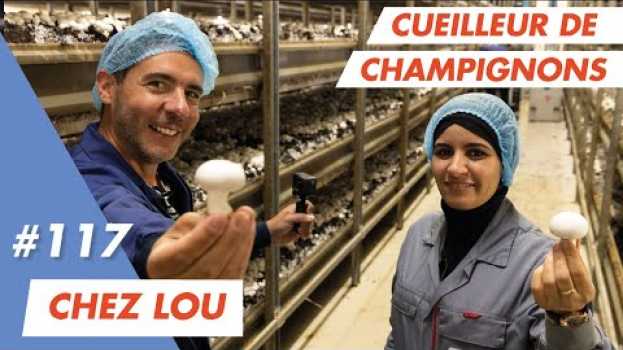 Video Je bosse comme cueilleur de champignons chez Lou avec Fatima em Portuguese