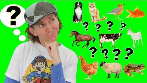 Video What Is It? Animals Song | My First Words Series Song 1 | Learn English su italiano
