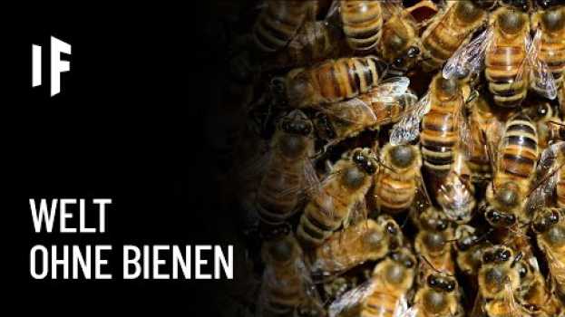 Video Was wäre, wenn alle Bienen der Welt aussterben? en français