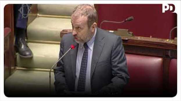 Video Stefano Ceccanti sulla democraticità dello Statuto del Gruppo 5 Stelle alla Camera su italiano