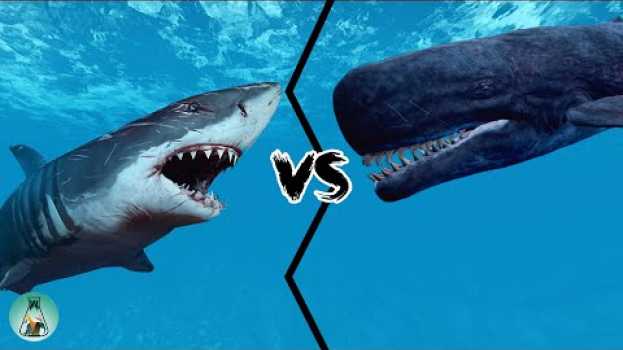 Video MEGALODON VS LIVYATAN - Who would win between this two legendary creatures? na Polish
