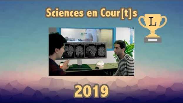 Video L'IRM de M. Pignon en français
