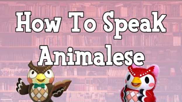 Video How To Speak Animalese in English