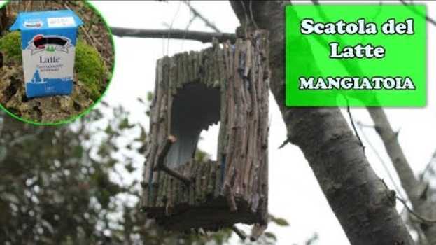 Video MANGIATOIA per uccelli selvatici con un CARTONE del LATTE - Riciclo in giardino & Birdgarden in English