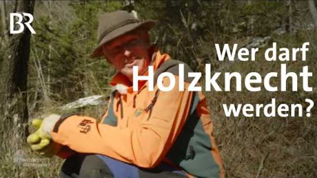Video Holzknecht-Casting: So läuft das Auswahlverfahren im Forstbetrieb | Schwaben & Altbayern | BR en Español