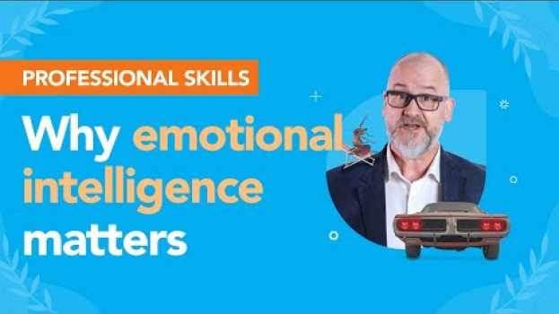 Video Emotional intelligence: How could it help you be a better accountant? en français