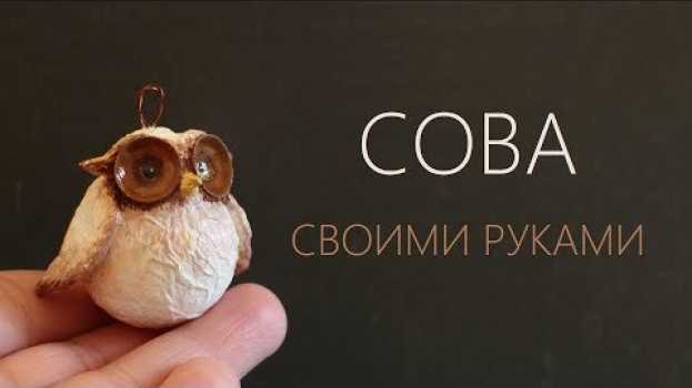Video Сова из шарика от дезодоранта na Polish