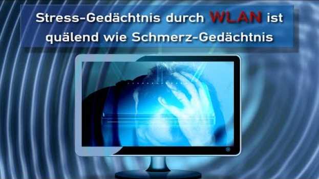 Video Stress-Gedächtnis durch WLAN ist quälend wie Schmerz-Gedächtnis  | 30.08.2021 | www.kla.tv/19702 na Polish