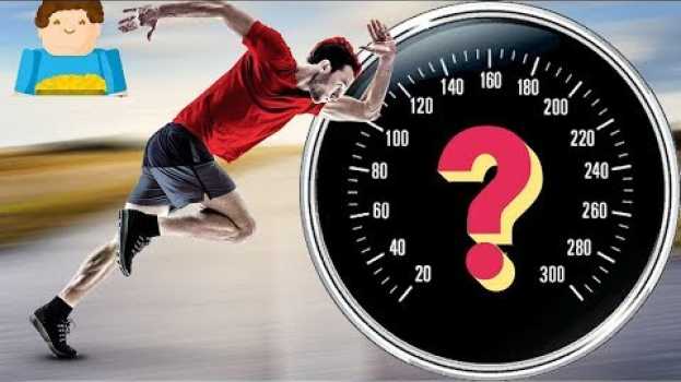 Video Какую скорость может развить человек? | Plushkin in English