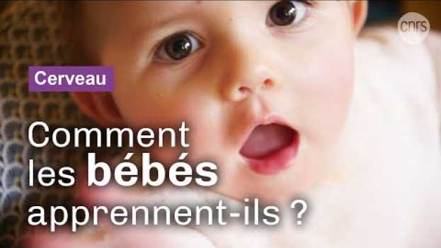 Video Dans la tête des bébés | Reportage CNRS em Portuguese