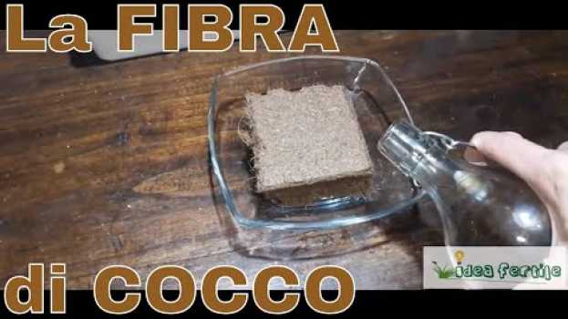 Video La fibra di cocco, ideale per il semenzaio en Español