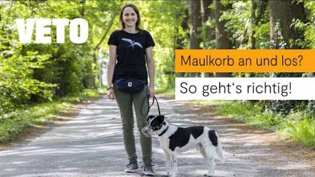 Video Maulkorbtraining - So gewöhnt du deinen Hund an einen Maulkorb in Deutsch