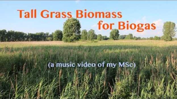 Video Tall Grass Biomass for Biogas (Music Video of my MSc) na Polish