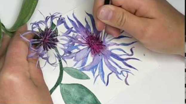 Video Making Watercolour Botanical Postcards su italiano