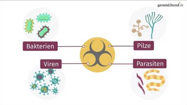 Video Was sind Infektionskrankheiten? in Deutsch