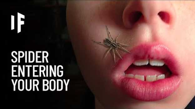 Video What If a Spider Crawled Into Your Body While You‘re Sleeping? in Deutsch
